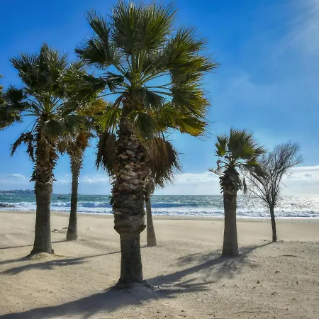 Appartement Quartier Latin-13 By Interhome Fréjus